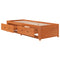vidaXL Day Bed without Mattress Wax Brown 90x200 cm Solid Wood Pine