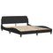 vidaXL Bed Frame with LED without Mattress "Hvar" Black 160x200 cm