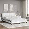 vidaXL Bed Frame with LED without Mattress White and Black 160x200 cm