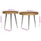 vidaXL Coffee Table 2 pcs Golden Engineered Wood