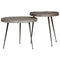 vidaXL Coffee Table 2 pcs Silver Engineered Wood