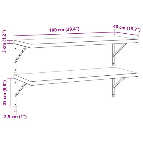 vidaXL Wall Shelves 2 pcs 100x40 cm Silver Stainless Steel