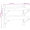 vidaXL 2-Tier Wall Shelf 50x23.5x48 cm Silver Stainless Steel