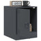 vidaXL Bedside Cabinets 2 pcs Anthracite 34.5x39x44 cm Steel