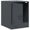 vidaXL Bedside Cabinets 2 pcs Anthracite 34.5x39x44 cm Steel