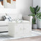 vidaXL Coffee Table White 67x50x44 cm Steel