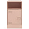 vidaXL Bedside Cabinets 2pcs Pink 34.5x39x62 cm Steel