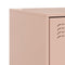 vidaXL Bedside Cabinets 2 pcs Pink 34.5x39x62 cm Steel
