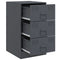 vidaXL Bedside Cabinets 2 pcs Anthracite 34.5x39x62 cm Steel