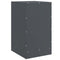 vidaXL Bedside Cabinets 2 pcs Anthracite 34.5x39x62 cm Steel