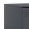 vidaXL Bedside Cabinets 2 pcs Anthracite 34.5x39x62 cm Steel