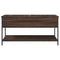vidaXL Coffee Table Brown Oak 100x50x50 cm Engineered Wood and Metal