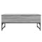 vidaXL Coffee Table Grey Sonoma 100x50x40 cm Engineered Wood and Metal