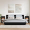 vidaXL Bedside Cabinets 2 pcs Black 35x34x65 cm Engineered Wood