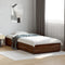 vidaXL Bed Frame without Mattress Brown Oak 90x190 cm Single