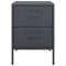vidaXL Bedside Cabinets 2 pcs Anthracite 36x39x50.5 cm Steel