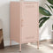vidaXL Sideboard Pink 36x39x79 cm Steel