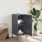 vidaXL Sideboard Anthracite 36x39x79 cm Steel