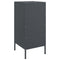 vidaXL Sideboard Anthracite 36x39x79 cm Steel