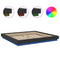 vidaXL Bed Frame with LED Lights without Mattress Black 180x200cm