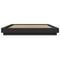 vidaXL Bed Frame with LED Lights without Mattress Black 160x200cm