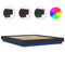 vidaXL Bed Frame with LED Lights without Mattress Black 160x200cm