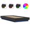 vidaXL Bed Frame with LED Lights without Mattress Black 100x200cm