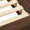 vidaXL Bed Frame without Mattress Brown Oak 100x200 cm