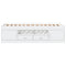 vidaXL Daybed with Drawers without Mattress White 75x190 cm Small Single