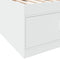 vidaXL Daybed with Drawers without Mattress White 75x190 cm Small Single