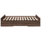 vidaXL Bed Frame with Drawers without Mattress Brown Oak 120x190 cm Small Double