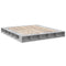 vidaXL Bed Frame without Mattress Concrete Grey 200x200 cm