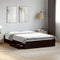 vidaXL Bed Frame with Drawers without Mattress Black 120x200 cm