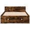 vidaXL Bed Frame with Drawer without Mattress Smoked Oak 90x190 cm Single