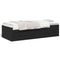 vidaXL Daybed with Drawers without Mattress Black 100x200 cm