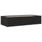 vidaXL Daybed with Drawers without Mattress Black 100x200 cm