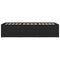 vidaXL Daybed with Drawers without Mattress Black 100x200 cm