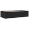 vidaXL Daybed with Drawers without Mattress Black 100x200 cm