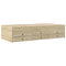 vidaXL Daybed with Drawers without Mattress Sonoma Oak 90x190 cm Single