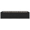 vidaXL Daybed with Drawers without Mattress Black 75x190 cm Small Single