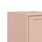 vidaXL Bedside Cabinets 2 pcs Pink 36x39x60.5 cm Steel