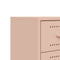 vidaXL Bedside Cabinets 2 pcs Pink 36x39x60.5 cm Steel
