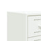 vidaXL Bedside Cabinets 2 pcs White 36x39x60.5 cm Steel