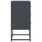 vidaXL Bedside Cabinet Anthracite 36x39x78 cm Steel