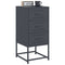 vidaXL Bedside Cabinets 2 pcs Anthracite 36x39x78 cm Steel