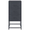 vidaXL Bedside Cabinets 2 pcs Anthracite 36x39x78 cm Steel