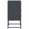 vidaXL Bedside Cabinets 2 pcs Anthracite 36x39x78 cm Steel