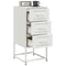 vidaXL Bedside Cabinet White 36x39x78 cm Steel