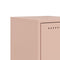 vidaXL Bedside Cabinets 2 pcs Pink 36x39x43.5 cm Steel