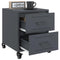 vidaXL Bedside Cabinets 2 pcs Anthracite 36x39x43.5 cm Steel